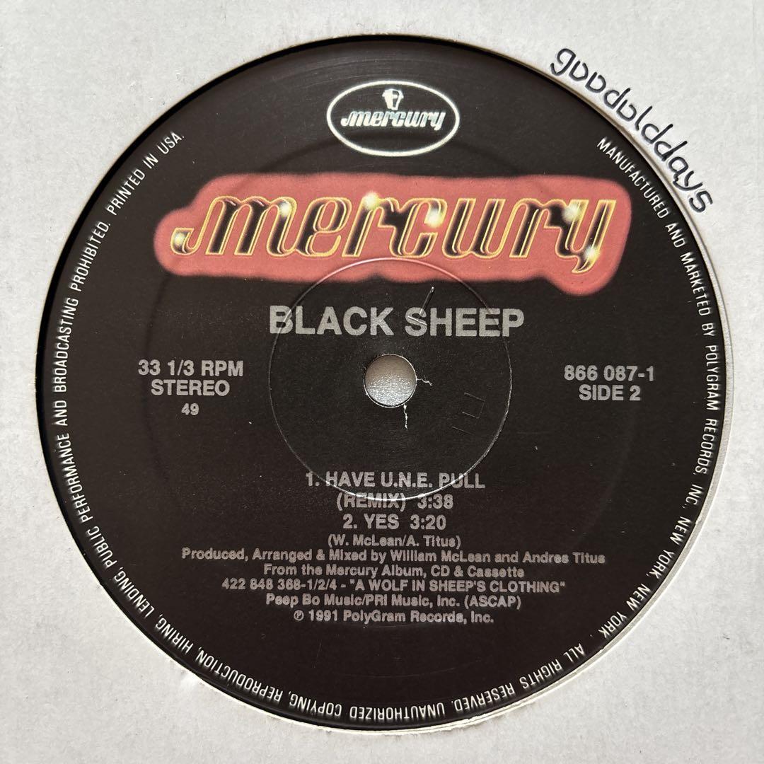 洋楽 Black Sheep - The Choice Is Yours
