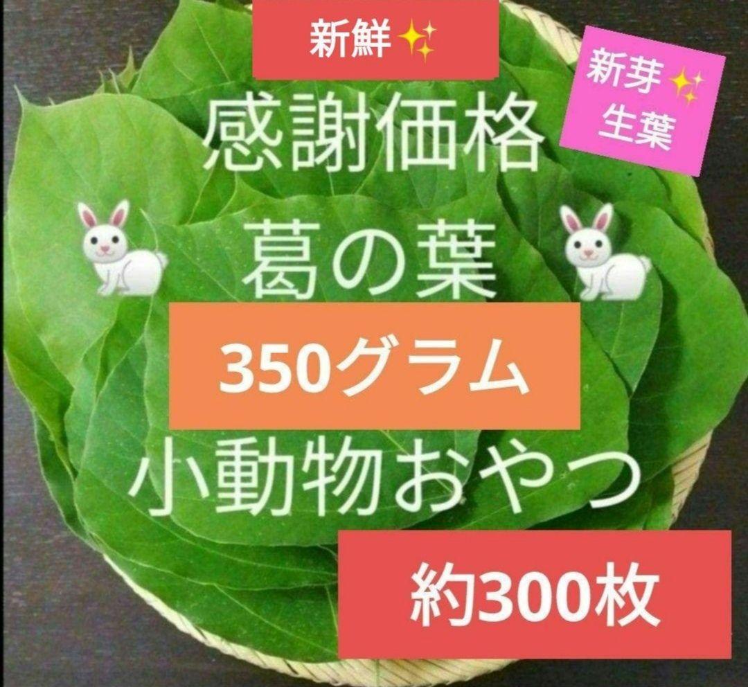 天然くずの生葉　葛の葉　クズ　うさぎおやつ　小動物おやつチモシー代用 天然くずの生葉350g入 葛の葉 クズ うさぎおやつ 小動物おやつ