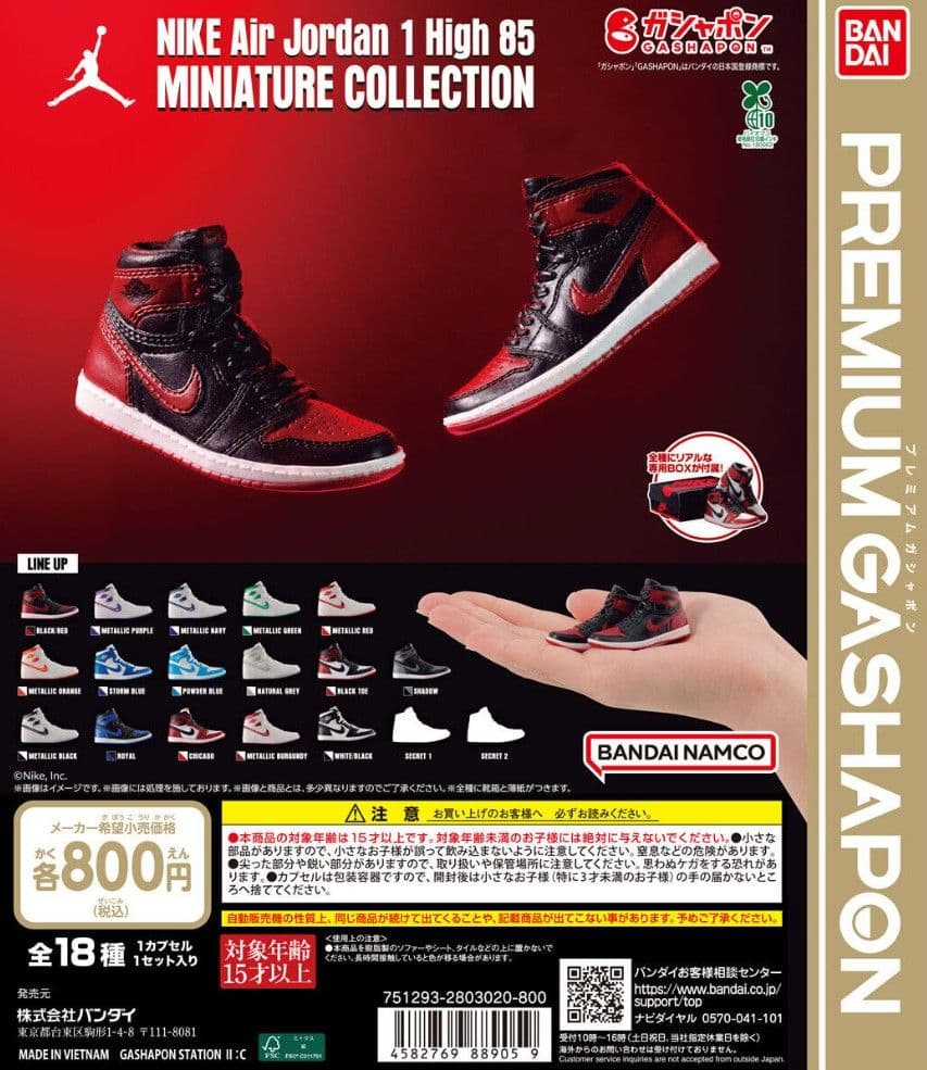 NIKE Air Jordan 1 High 85 12点セット