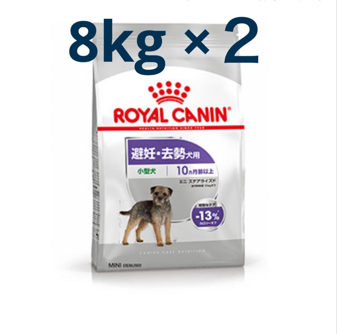 ロイヤルカナン ROYALCANIN ミニステアライズド　避妊去勢犬用8kg×2