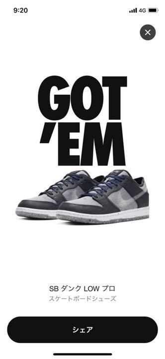 NIKE SB DUNK LOW PRO DARK GREY