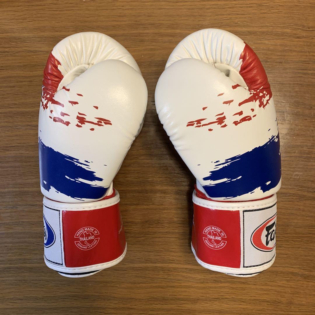 リチャード専用　Fairtex ムエタイグローブ　10オンス