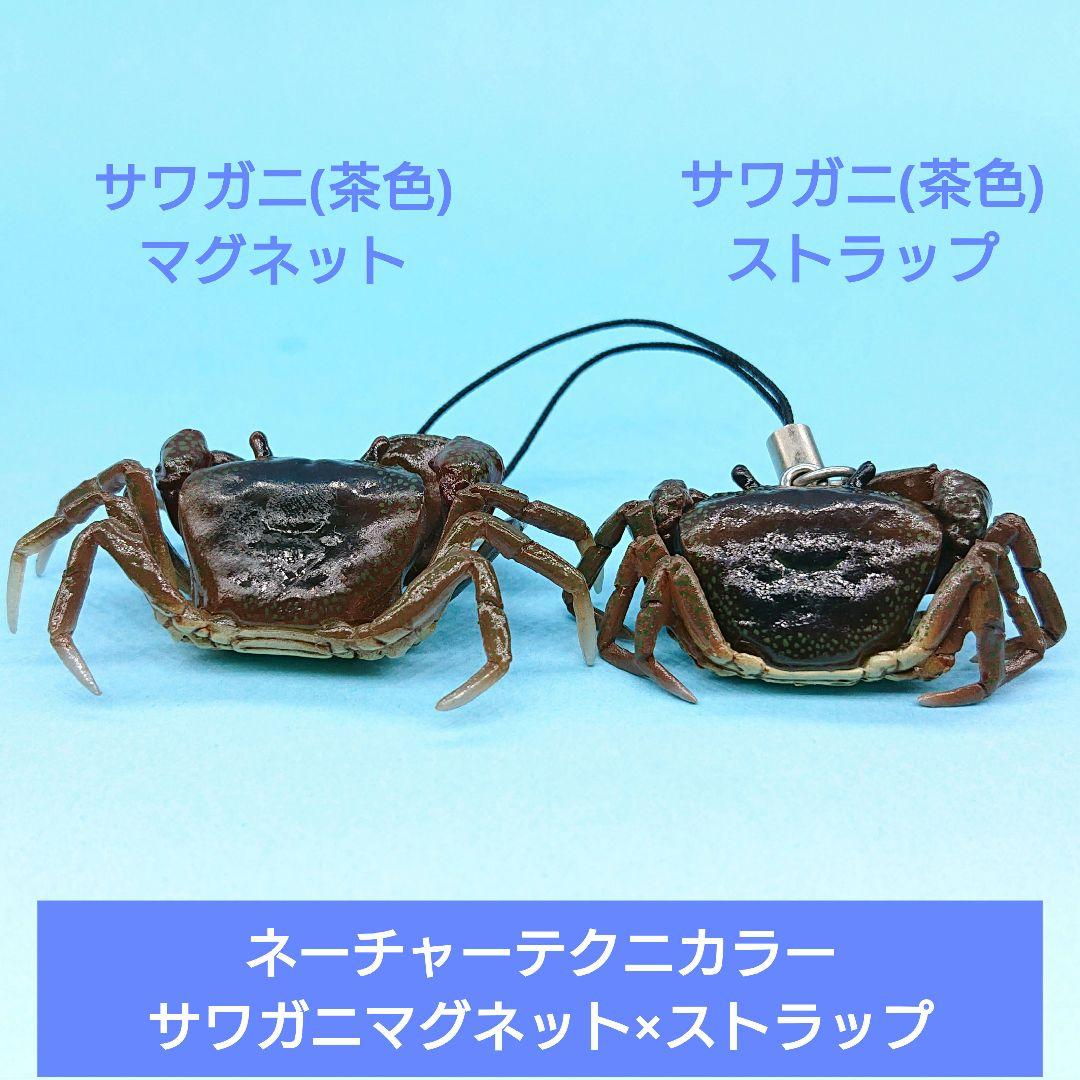 希少【キタンクラブ】ネーチャーテクニカラー サワガニ