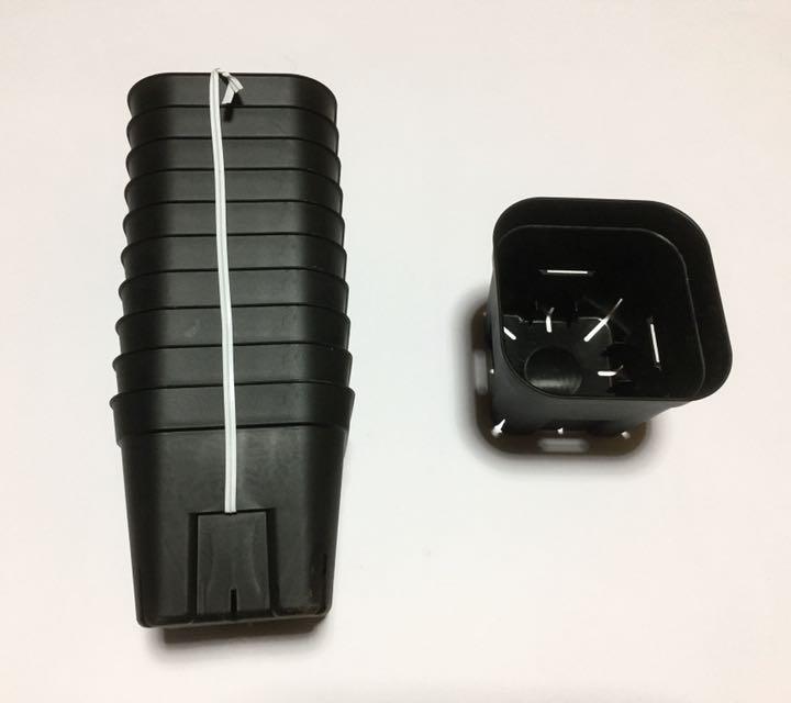 メルカリ 激安 プレステラ 105 サイズ 10個 2 黒 ハオルチア スリット鉢 植物 観葉植物 1 980 中古や未使用のフリマ メルカリ 激安 プレステラ 105 サイズ 10個 2 黒 ハオルチア スリット鉢 植物 観葉植物 1 980 中古や未使用のフリマ