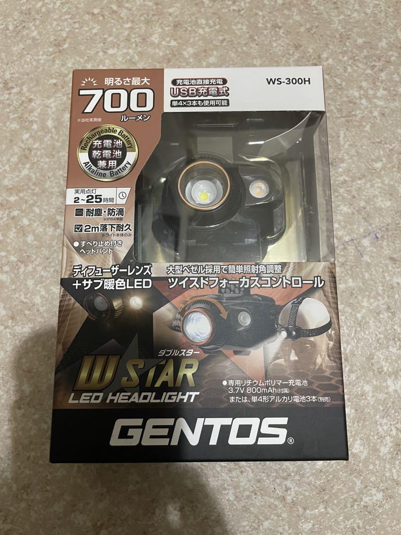 Amazon.com : GENTOS WS-300H Rechargeable LED Headlight, 700