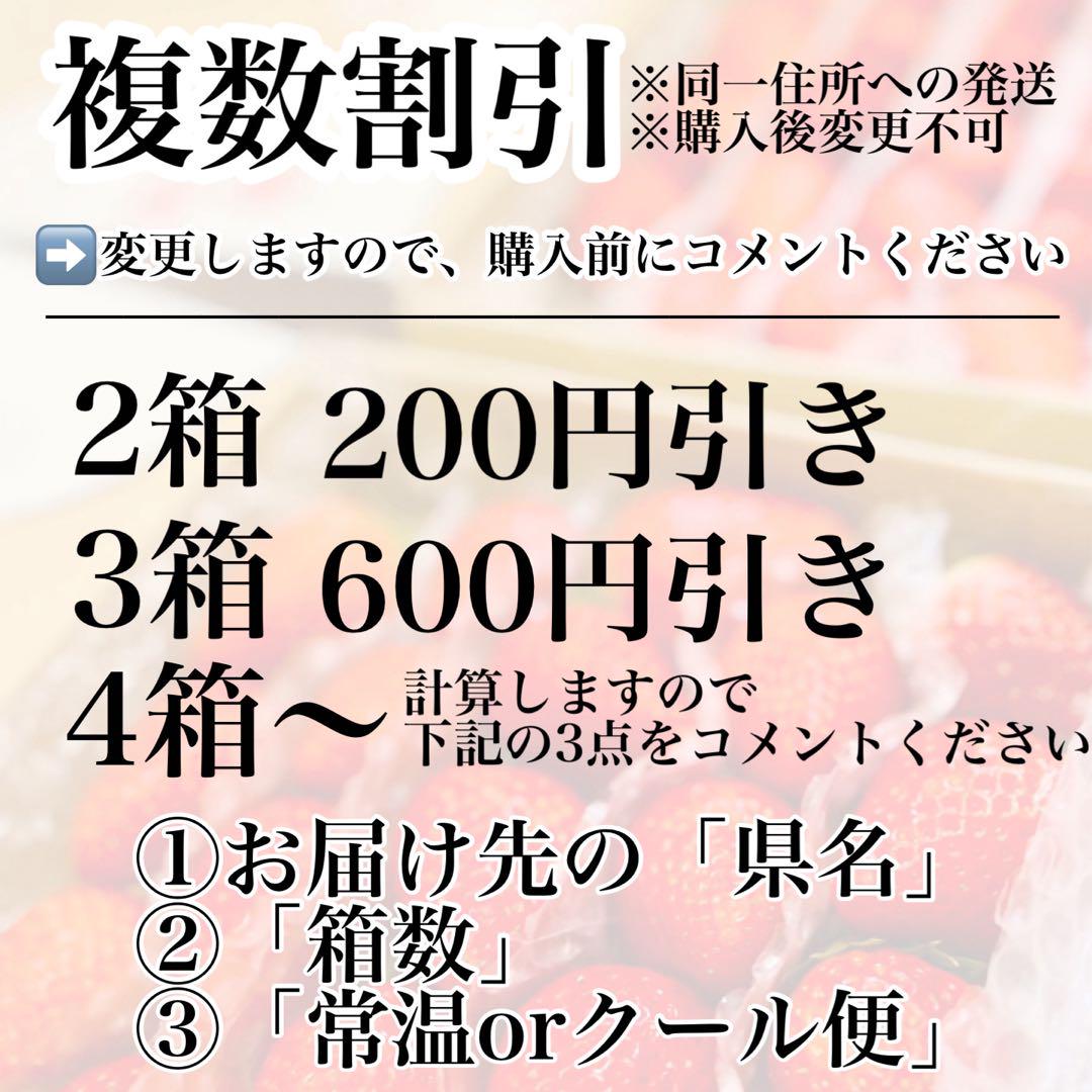 期間限定‼️超特大‼️ 新鮮朝採りいちご