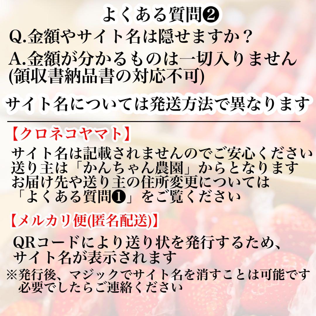 期間限定‼️超特大‼️ 新鮮朝採りいちご