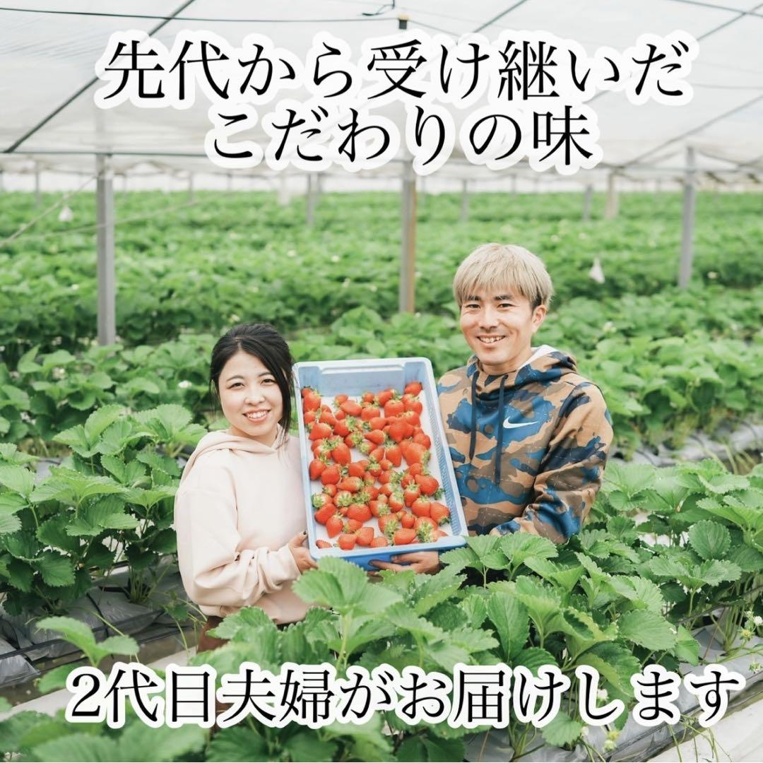 期間限定‼️超特大‼️ 新鮮朝採りいちご
