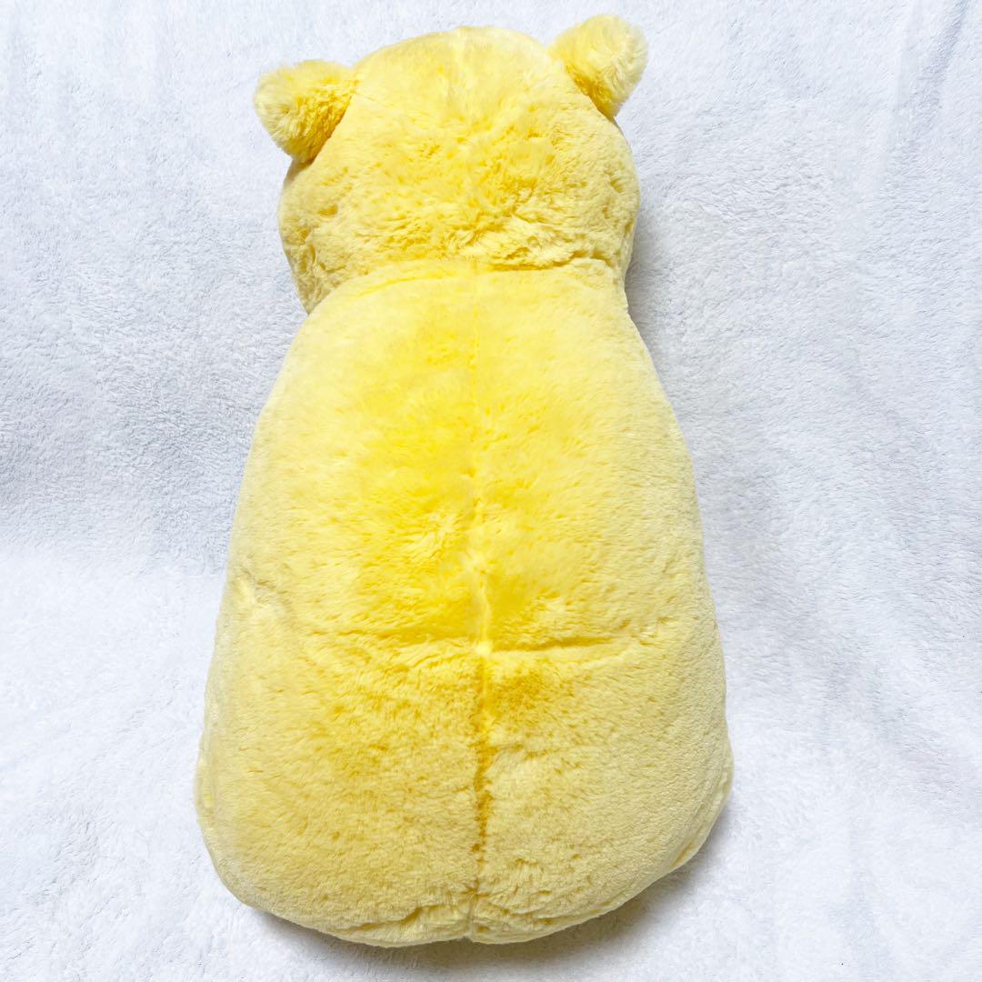 レトロプー