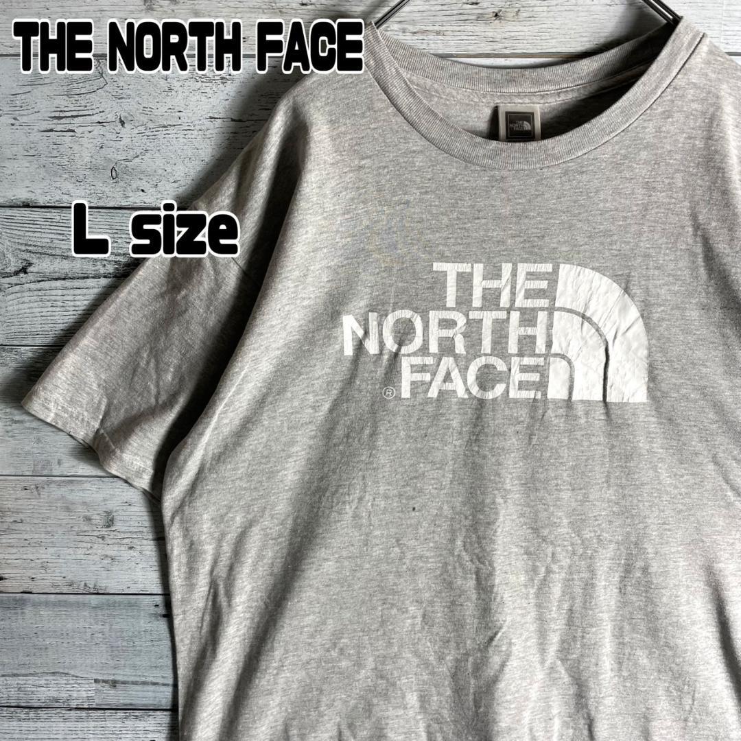 THE NORTH FACE ザノースフェイス Tシャツ Lサイズ