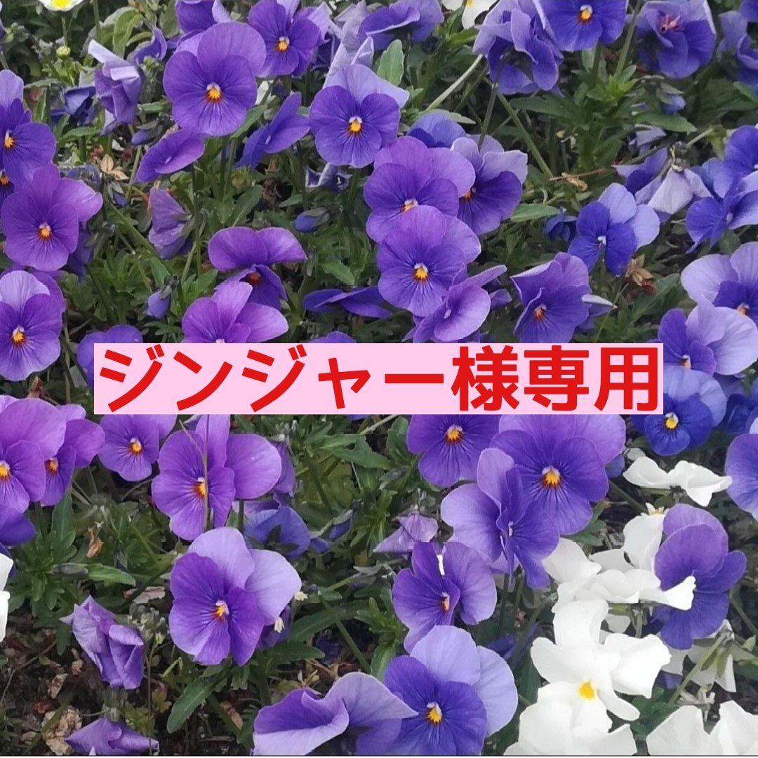 【ジンジャー様専用】抱っこ紐　ハンドメイド《aibo用》