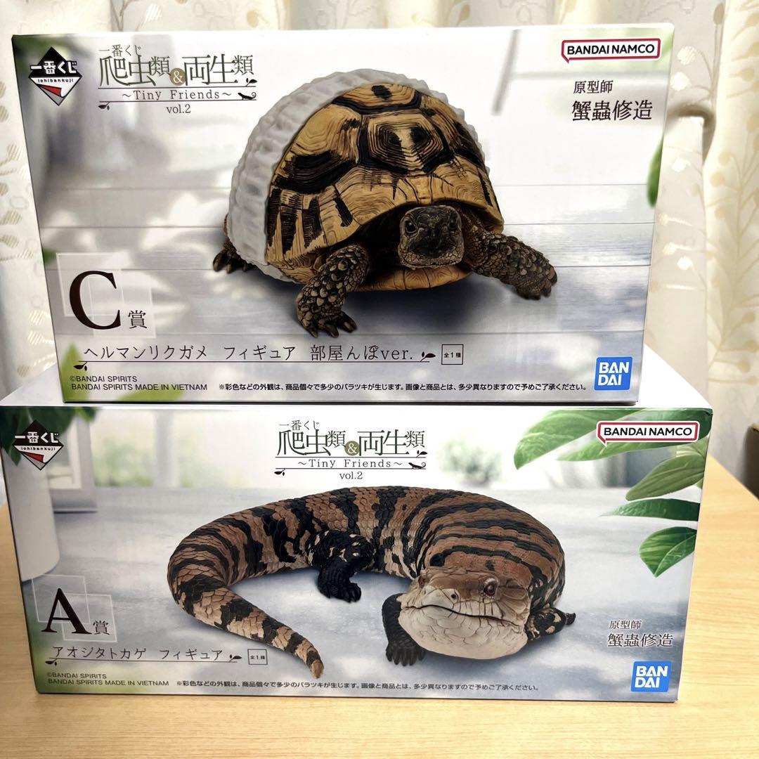 一番くじ 爬虫類&両生類 A賞 アオジタトカゲ C賞 ヘルマン