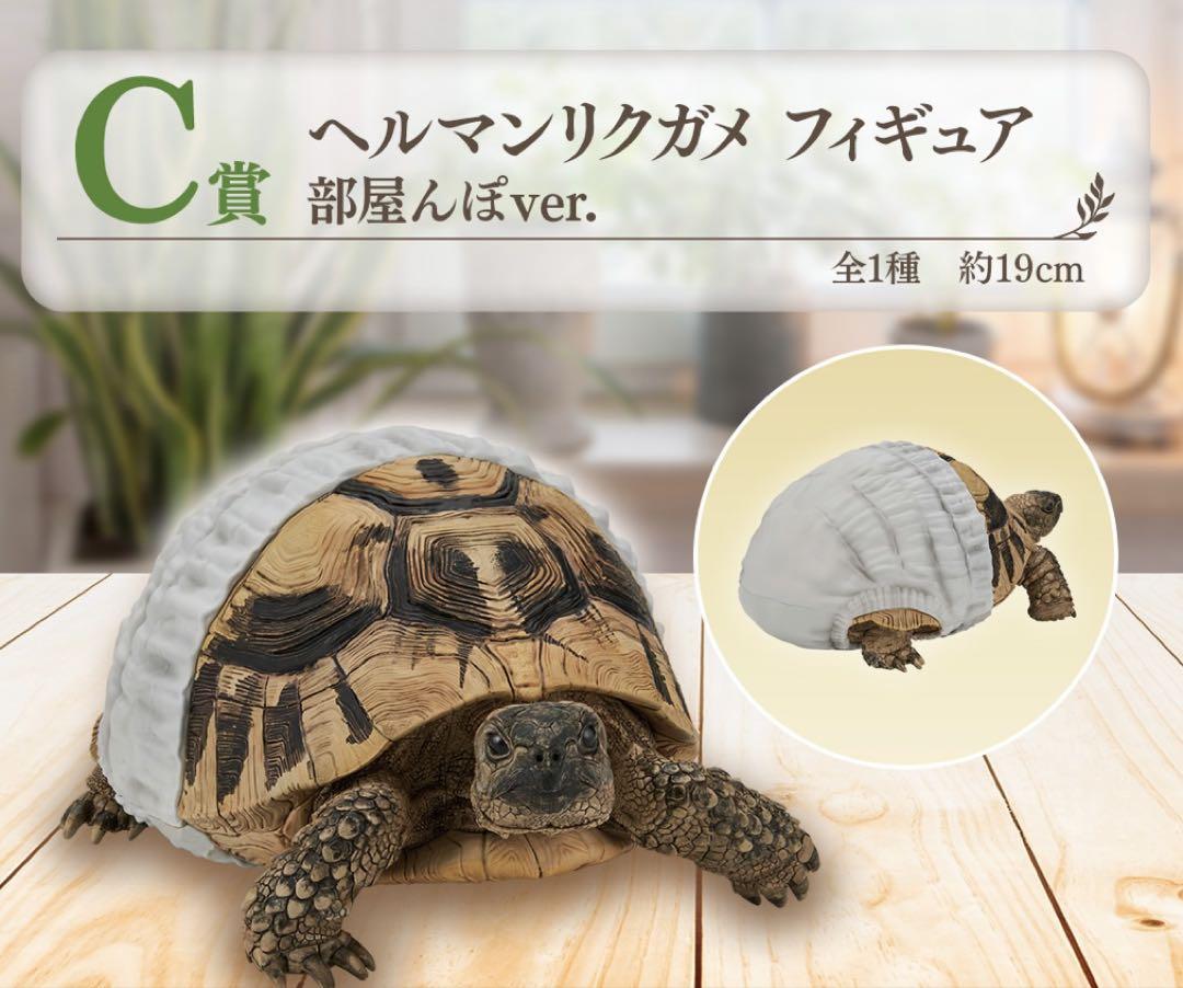 一番くじ爬虫類&両生類　C賞ヘルマンリクガメ