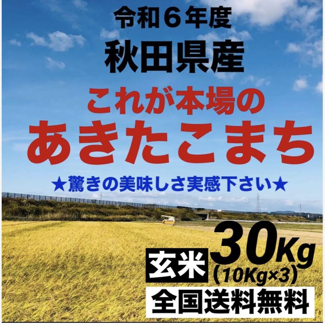 農家直送‼️令和６年度★新米★秋田県産これが本場のあきたこまち玄米10kg×3