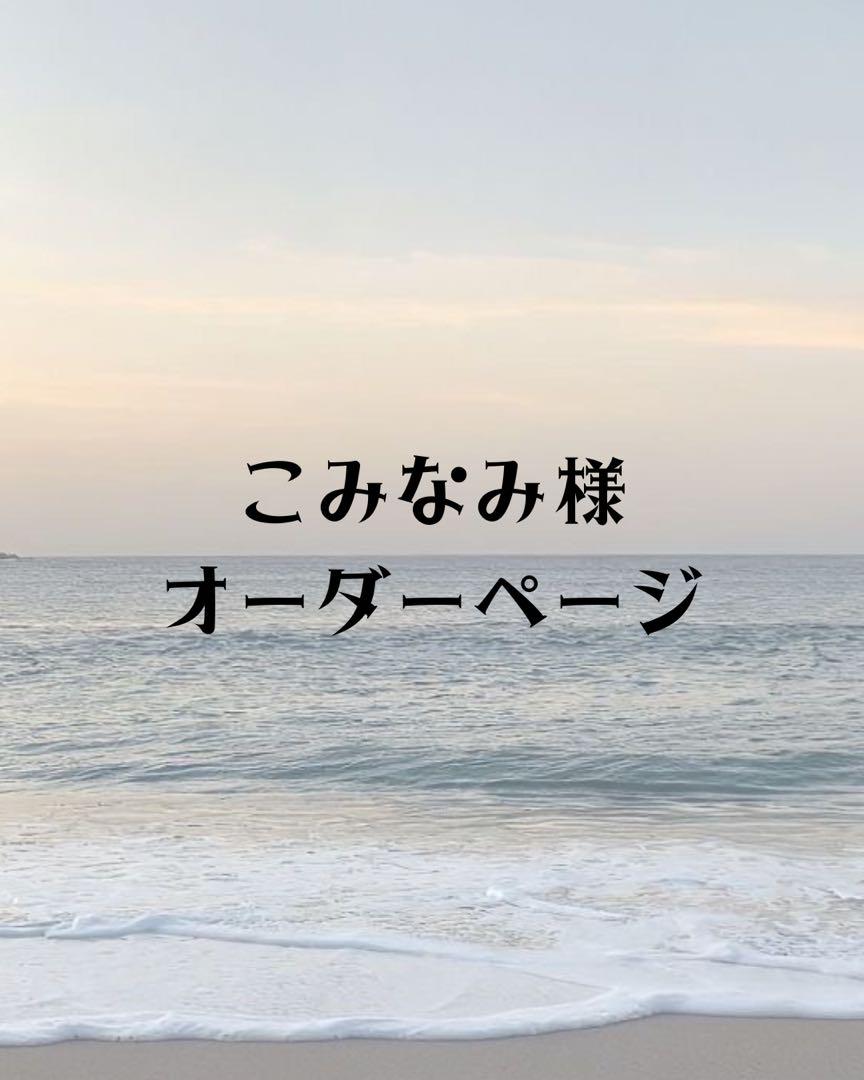 こみなみ様　オーダーページ