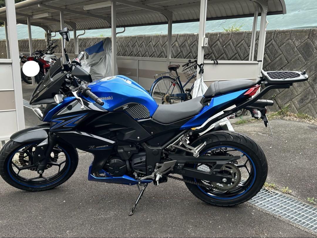 Ninja250 Z250用　リアキャリア