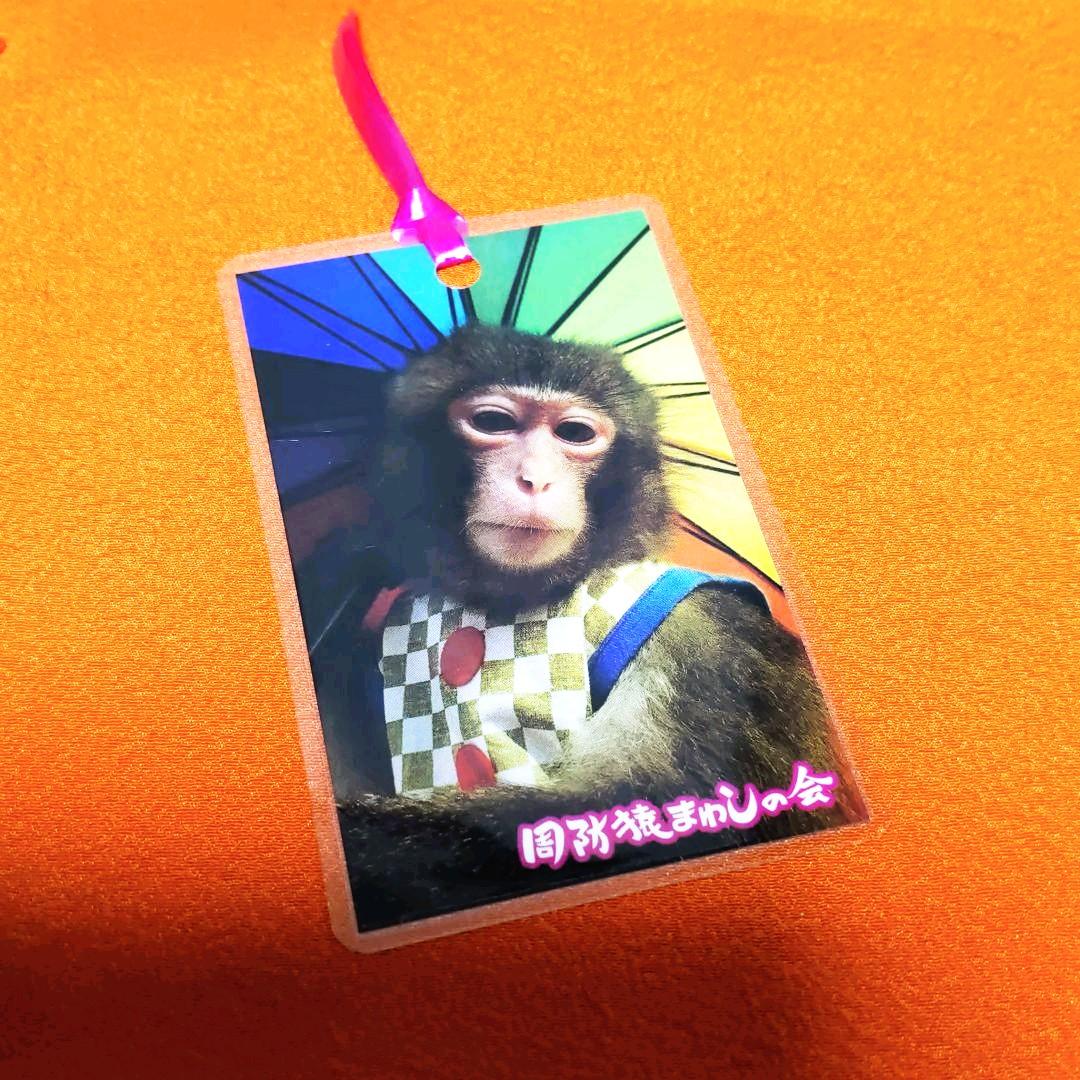 メルカリ かわいい 猿まわし しおり ブックマーク おもちゃ ホビー グッズ 300 中古や未使用のフリマ メルカリ かわいい 猿まわし しおり ブックマーク おもちゃ ホビー グッズ 300 中古や未使用のフリマ