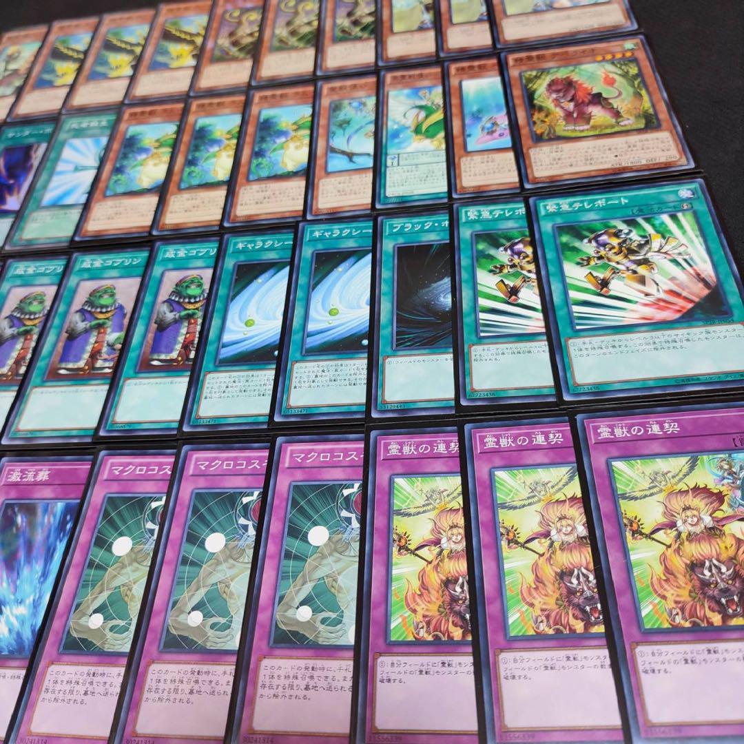 遊戯王　霊獣　本格構築　デッキ　24