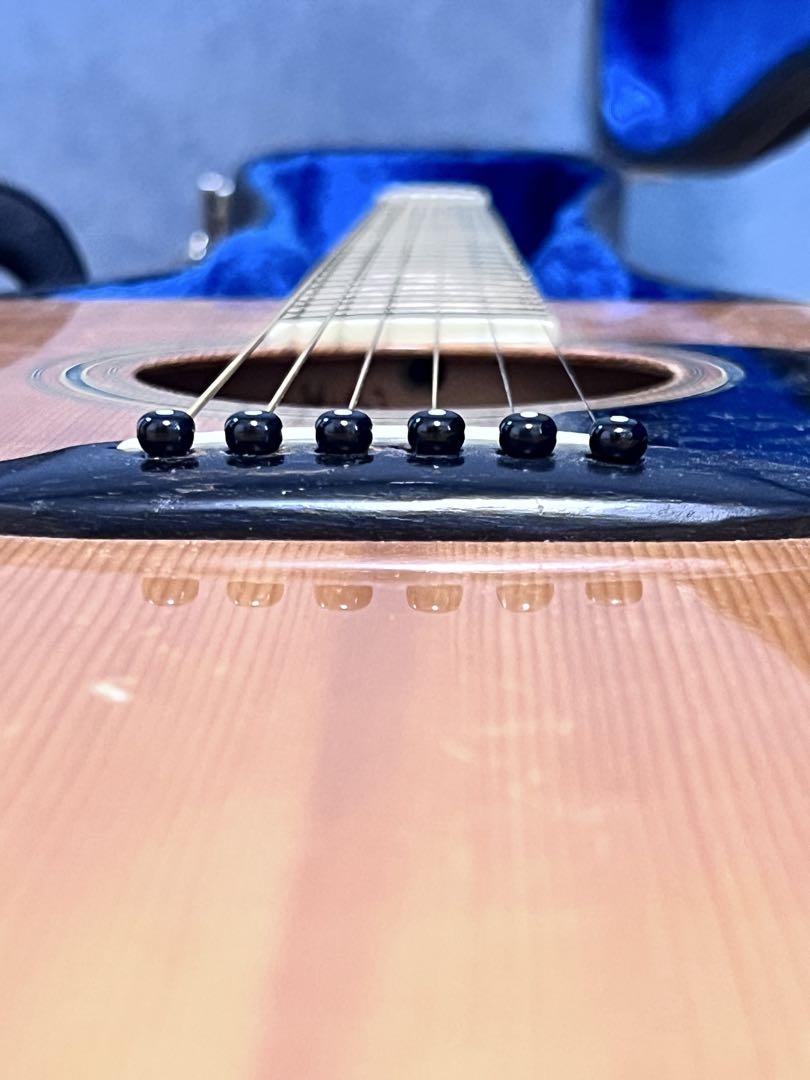 MORRIS TF Series W-50 ギター モーリス