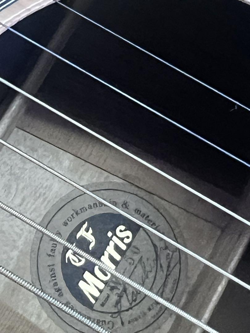 MORRIS TF Series W-50 ギター モーリス