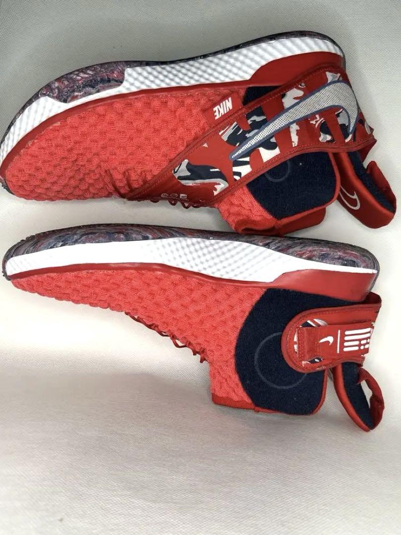 NIKE AlphaDunk USA 26cm 赤×紺×白 美品 バッシュ