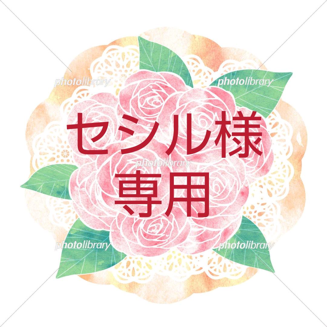絶妙なデザイン 植物/観葉植物-セシル様専用です 絶妙なデザイン 植物/観葉植物-セシル様専用です