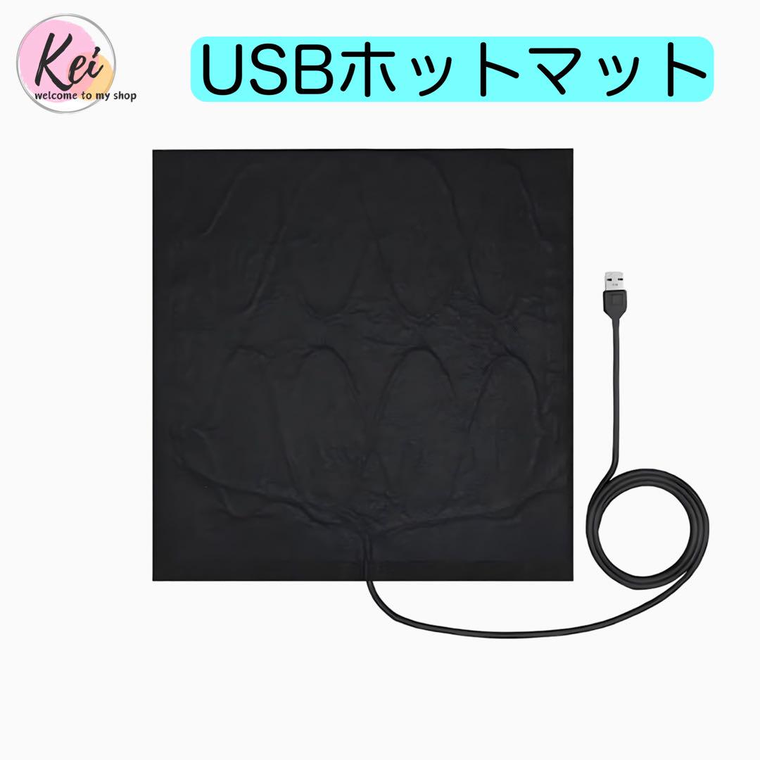 ✳️ ホットマット 電気 ホットマット 速暖 省エネ 丸洗い可能 USB ペット
