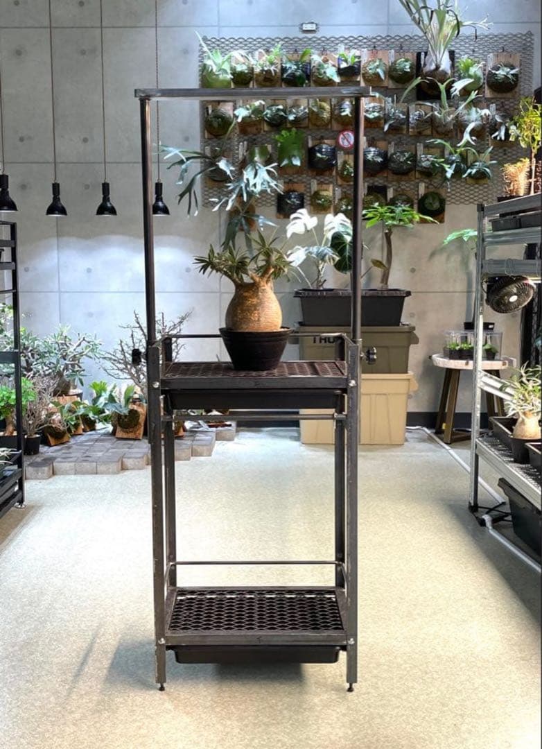 塗装前完成品 1台 アイアン 植物棚 ダクトレール 給水トレイ付♥に近い