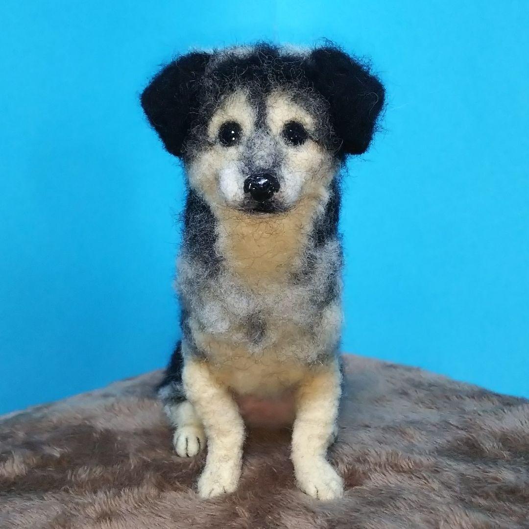 33 割引イエロー系 別倉庫からの配送 の様専用 羊毛フェルト トイプードル Mix犬 オーダー メモリアル おもちゃ 人形 趣味 おもちゃイエロー系 Myclearstep Com 33 割引イエロー系 別倉庫からの配送 の様専用 羊毛フェルト トイプードル Mix犬 オーダー メモリアル おもちゃ 人形 趣味 おもちゃイエロー系 Myclearstep Com