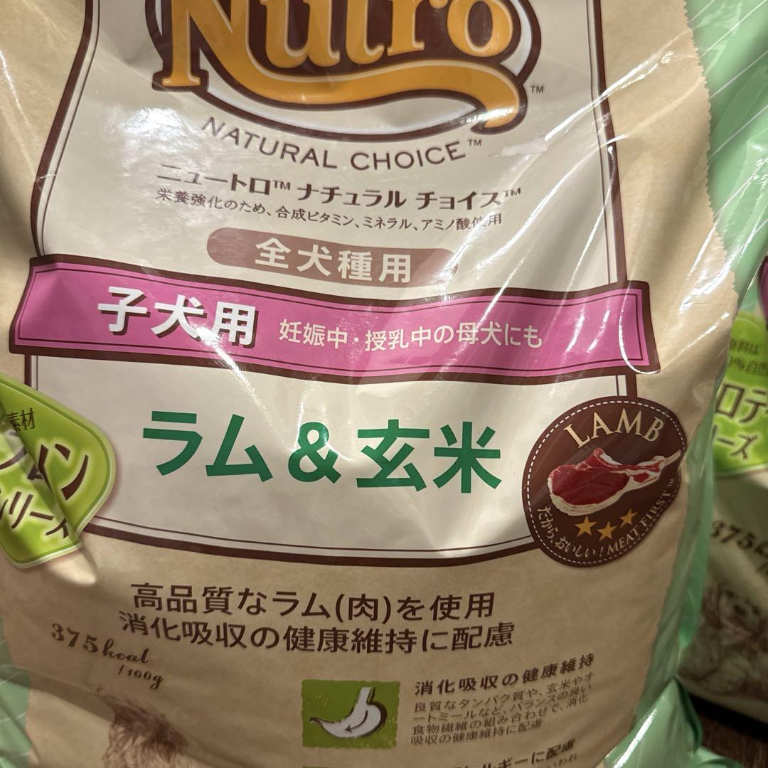 ドッグフード