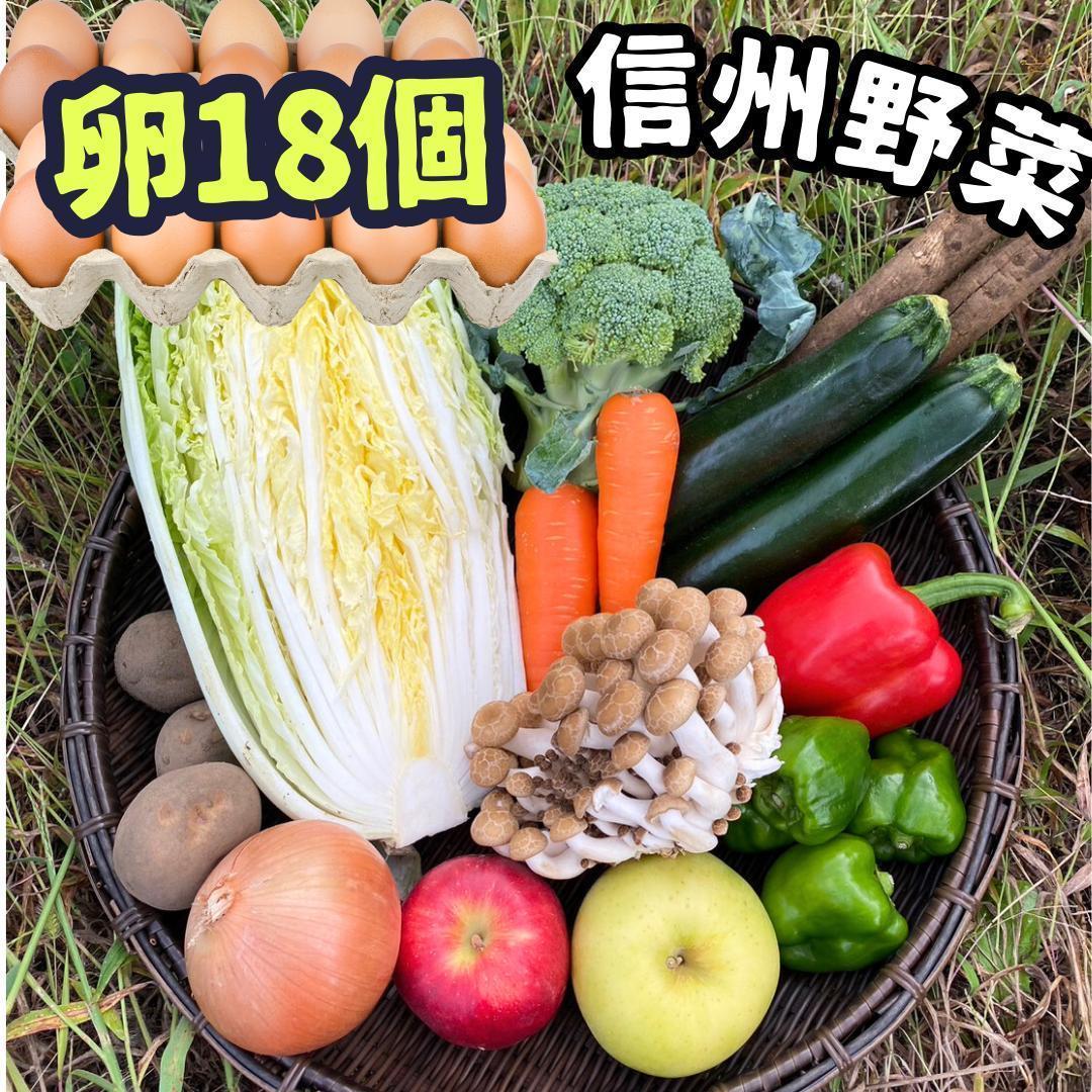 【国内発送】 限定出品！発送用箱がなくなり次第終了。丹波市産丹波黒枝豆4 野菜