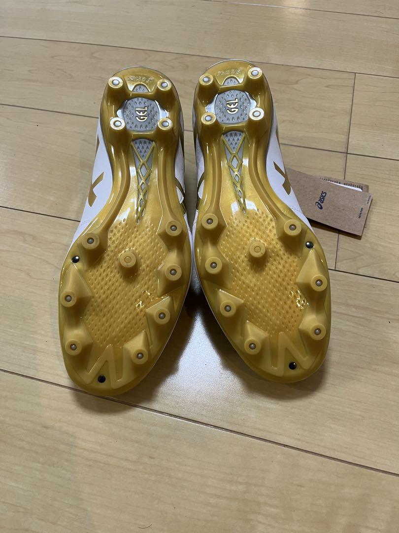 asics DS LIGHT 27㎝