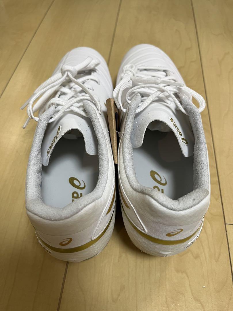 asics DS LIGHT 27㎝