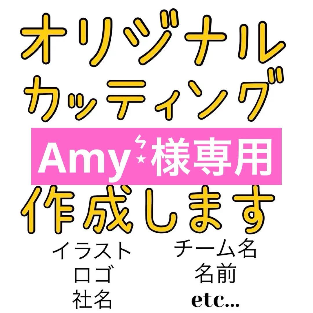 Amy⋆͛様専用