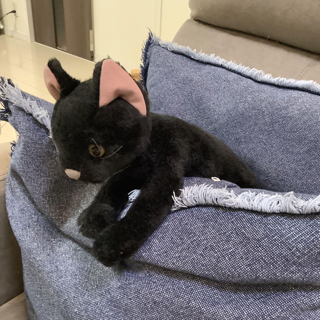 カドリー　ぬいぐるみ　黒猫　子猫