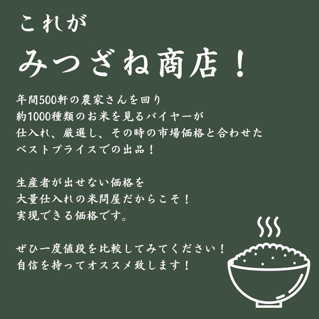 白米　20kg 彩のきずな　新米　埼玉県産　令和5年産　送料無料　米　20キロ