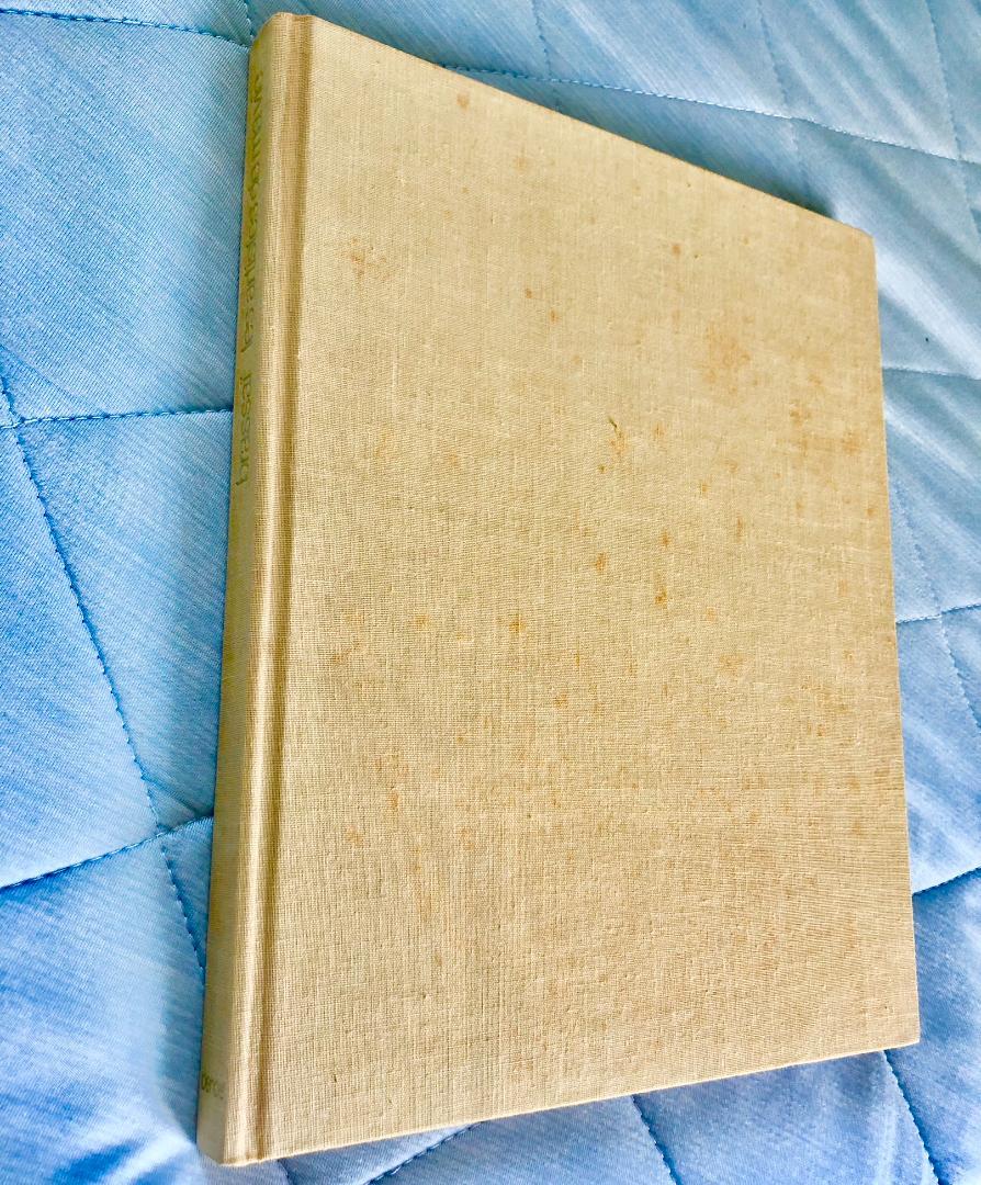 Brassai 洋書 ベージュ表紙