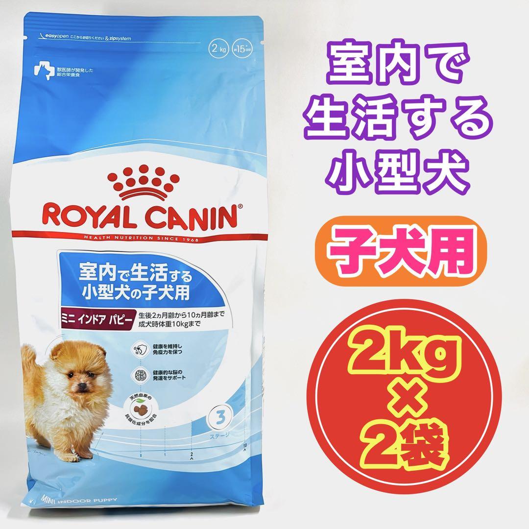ロイヤルカナン 室内で生活する小型犬の子犬用 2kg‪✕‬2袋