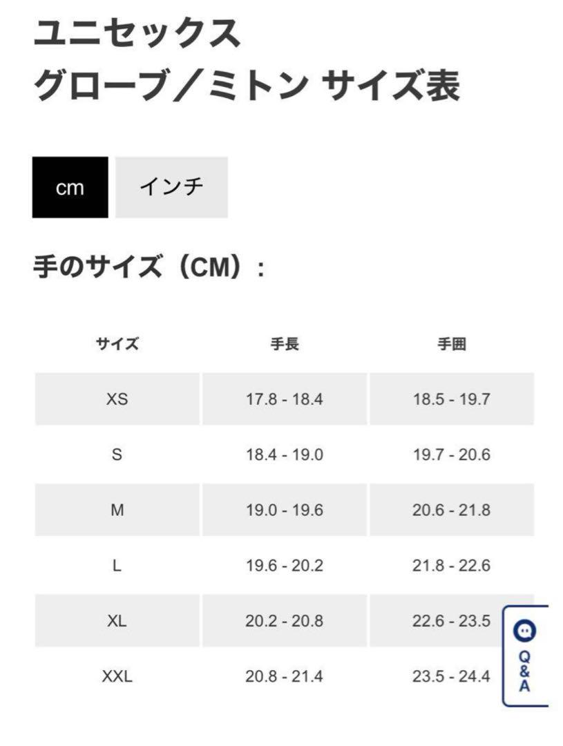 アークテリクス⚪︎ARC'TERYX⚪︎ローグローブ⚪︎xs