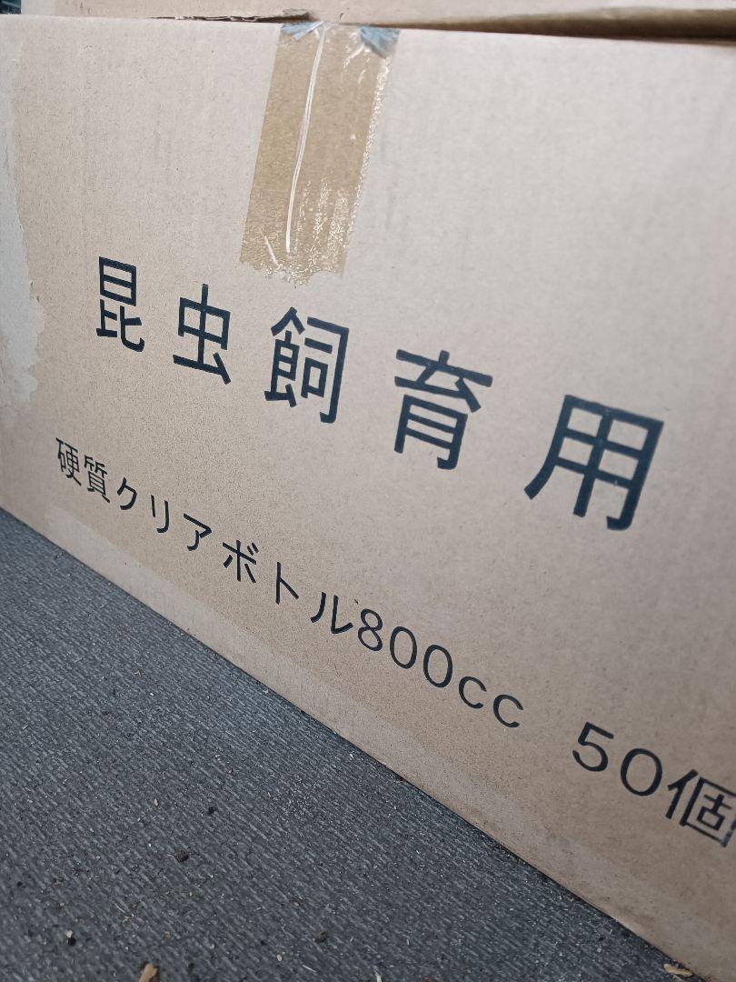 菌糸ボトル 800　50個　新品・未使用品　四つ穴