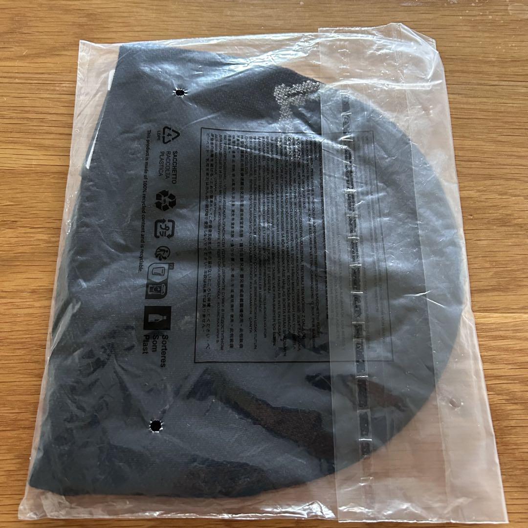 レア完売！新品未使用！アークテリクス バードヘッドトーク 入手