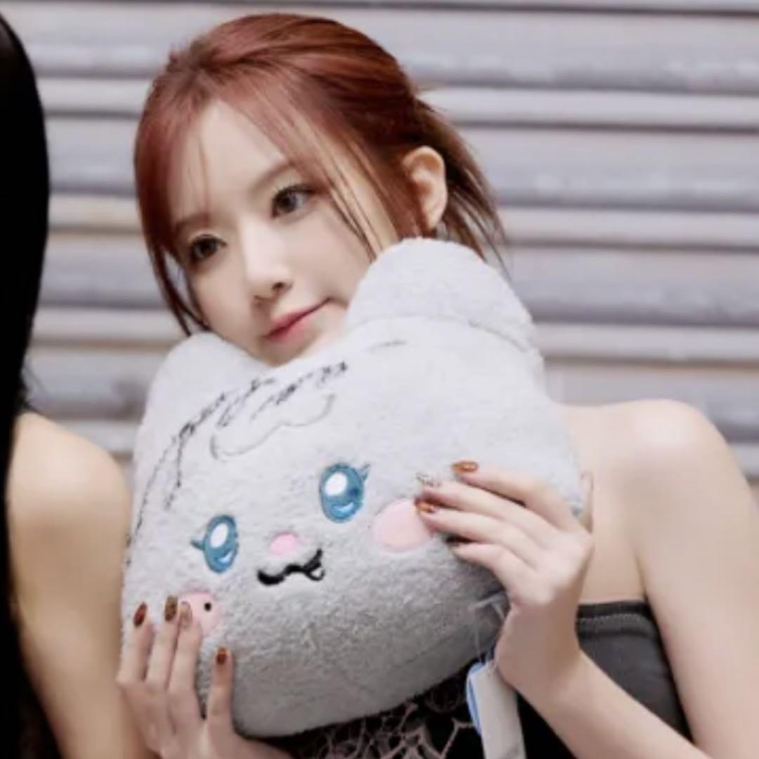(G)I-DLE minini ぬいぐるみ ミヨン ヨニニ 正規品 新品未開封 G)I-DLE minini ぬいぐるみ クッション ミヨン ヨニニ 正規品