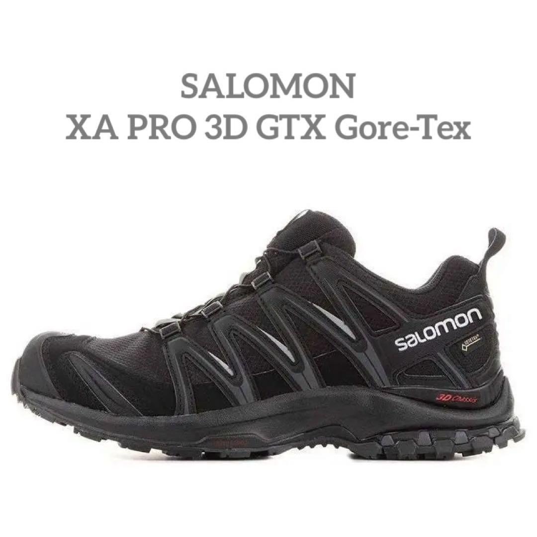 サロモン Salomon XA PRO 3D GTX ゴアテックス 画像1