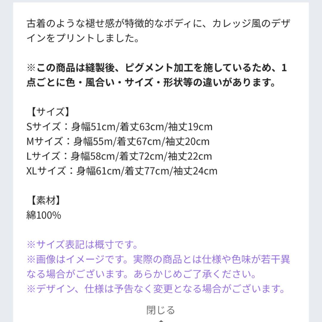 サザンオールスターズ ヴィンテージ風 Tシャツ ビンテージ 2025 新品 S