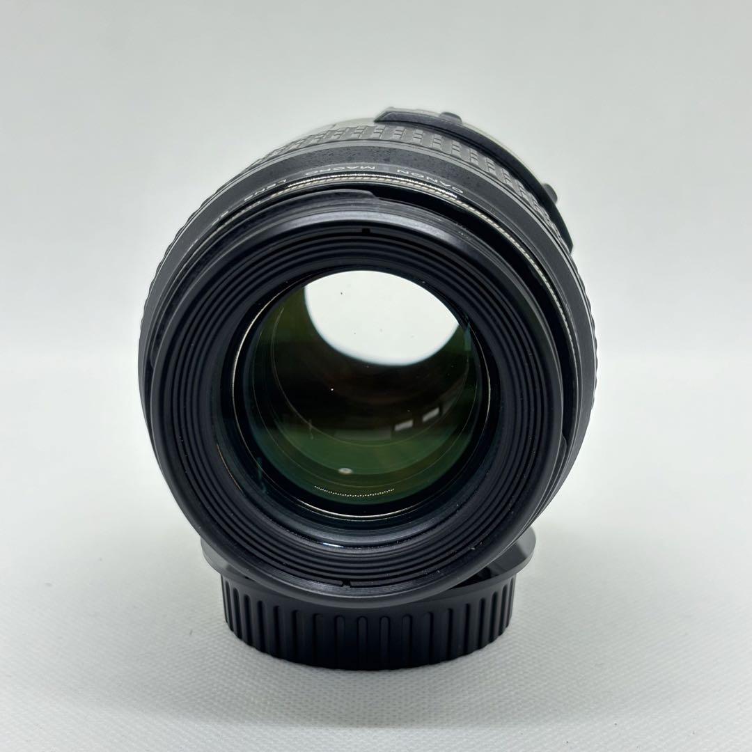 Canon EF100mm F2.8 USM マクロ 画像5