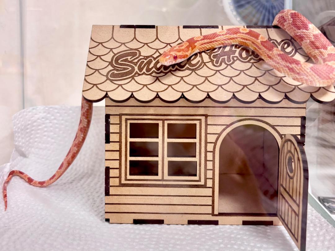 Snake House 蛇小屋（小）