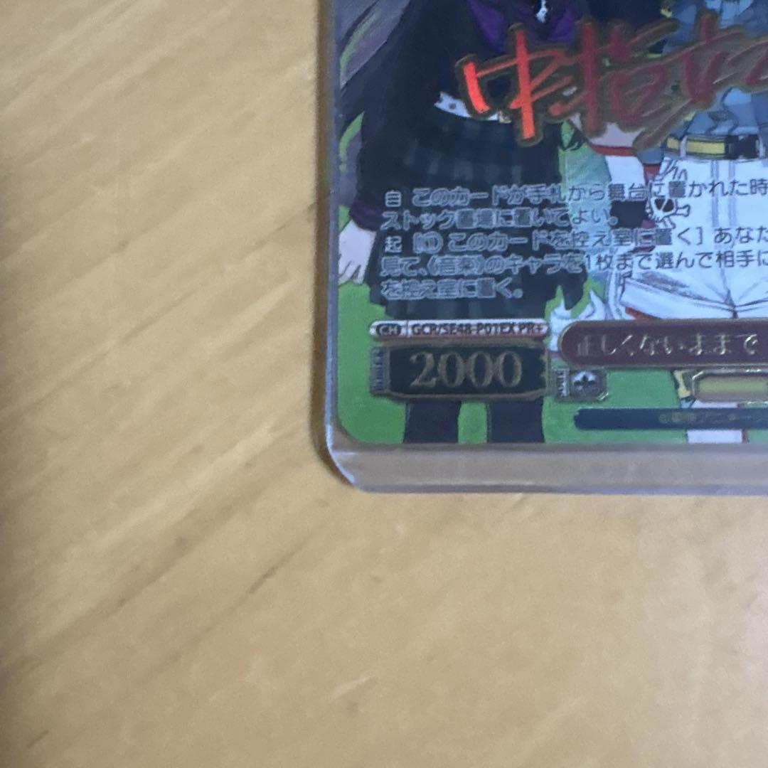 ヴァイス 正しくないままで トゲナシトゲアリ PR+