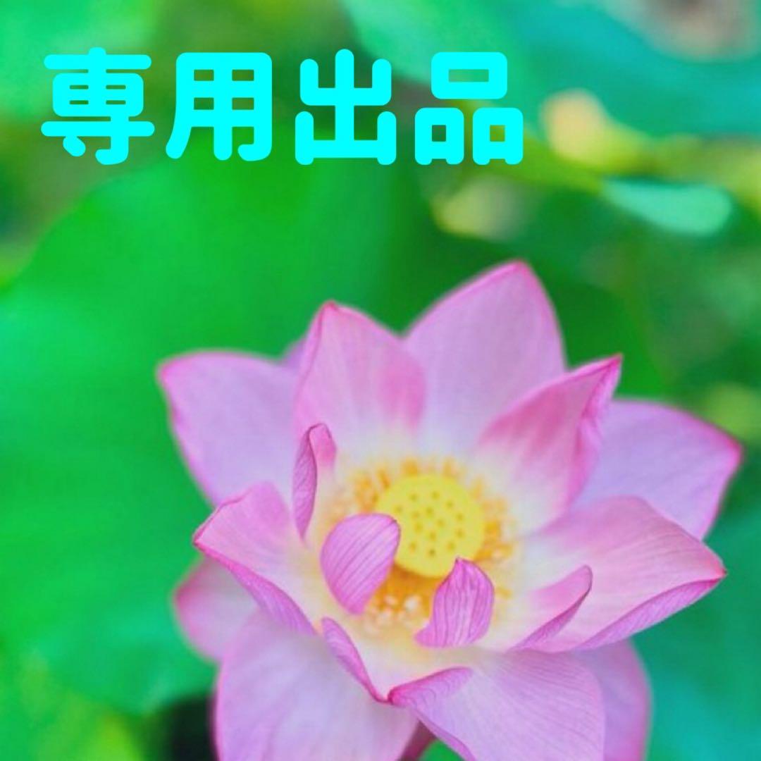 おけい様専用　6-4-0