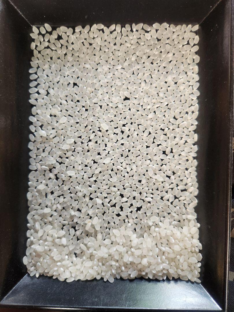 令和5年産 玄米コシヒカリ30kg  精米加工済25kg