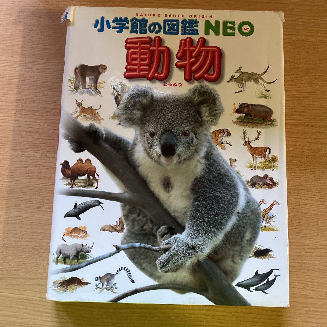 m*i様 小学館の図鑑NEO 図鑑NEO | 小学館の図鑑NEOシリーズ | 小学館